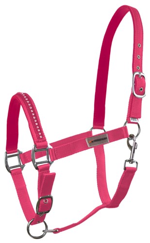 HE Horsenjoy Kantar Glitter 1.jpg