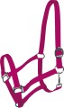 York Kantar Harmony 13.jpg