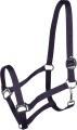 York Kantar Harmony 11.jpg