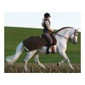 horseware_derka_amigocompetition1.jpg