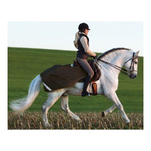 Horseware AMIGO Derka treningowa Competition Sheet