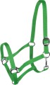 York Kantar Harmony 12.jpg