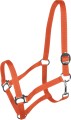 York Kantar Harmony 5.jpg