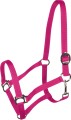 York Kantar Harmony 14.jpg