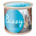 loesdau_lizawka_bizzyhorse1.jpg