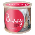 loesdau_lizawka_bizzyhorse2.jpg