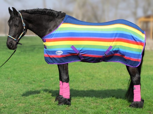 York-derka-rainbow.jpg