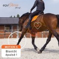 Stubben Equisense motion S elektroda 3.jpg