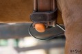 Stubben Equisense Motion S czujnik sensor 3.jpg