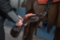 Stubben Equisense Motion S system set - zestaw 5.jpg