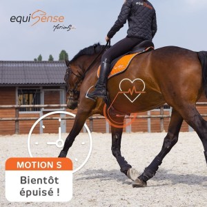 Stubben Equisense Motion S system set - zestaw