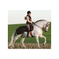 horseware_derka_amigocompetition2.jpg