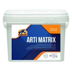 Cavalor Arti Matrix - aparat ruchu