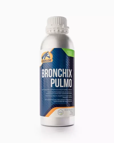 bronchix_pulmo.jpg