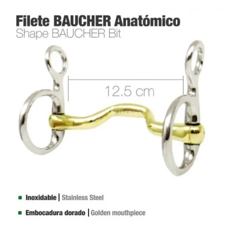 zaldi_baucher.jpg