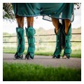 horseware_ochraniacze_transportowesignature4.jpg