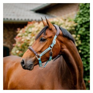 Horseware Signature kantar