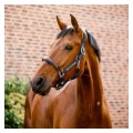horseware_kantar_signature2.jpg