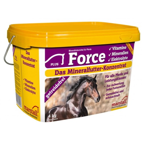 marstall_force1.jpg