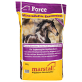 marstall_force3.png