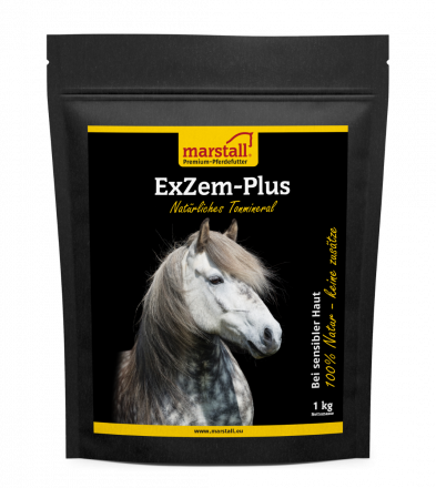 marstall_exzem1.png