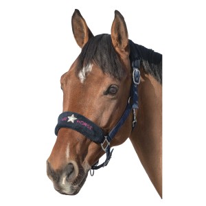 Loesdau Kantar Star Horse
