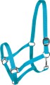 York Kantar Harmony3.jpg
