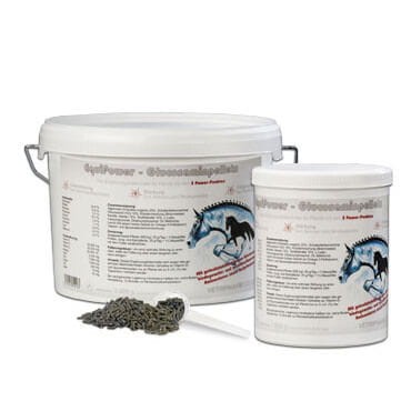 EquiPower Glucosaminpellets - Glokozamina w peletkach.jpg