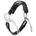 Stubben Hackamore 1.jpg
