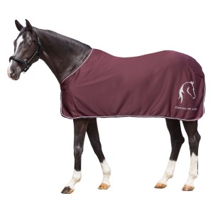 Loesdau Derka z jerseyu Horsey