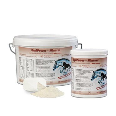Equi Power Mineral - Zestaw witamin i minerałów.jpg