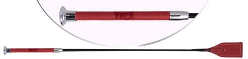 York Bat Patern Jumping.jpg