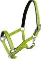 York Kantar Fluo 3.jpg