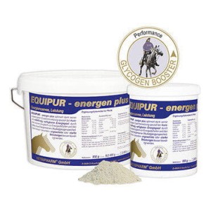 EquiPur Energen plus - pasza uzupełniająca, energetyczna