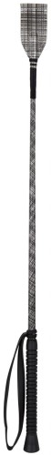 York Bat Checky 1.jpg