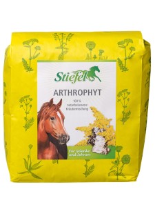 Stiefel preparat na stawy Arthrophyt 