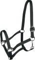 York Kantar Harmony 9.jpg