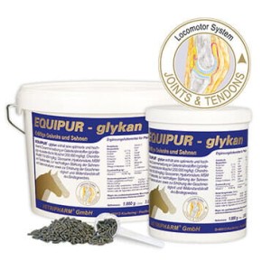 Equipur Glykan- wzmacnia stawy i ścięgna