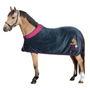 Loesdau Derka Star Horse