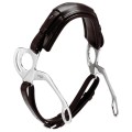 Stubben Hackamore 2.jpg