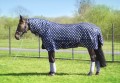 York Derka Fly Stars p. owadom 2.jpg