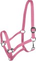 York Kantar Harmony 4.jpg