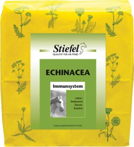 Stiefel rozdrobniona Echinacea 