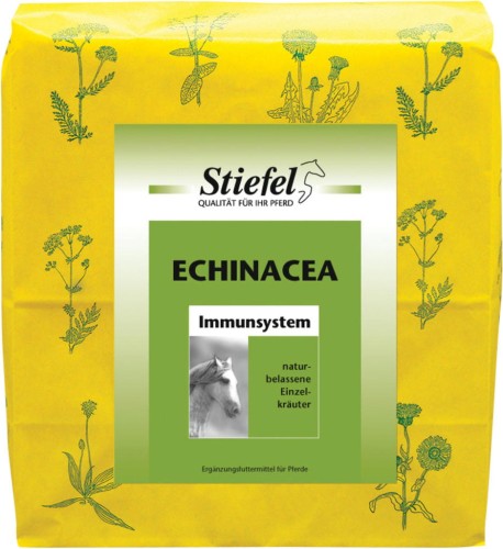 Stiefel rozdrobniona Echinacea.jpg