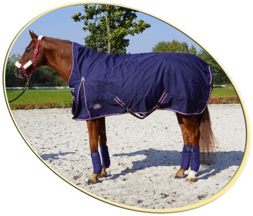HE Horsenjoy Derka Aristo High Neck 250 g zewnętrzna z kapturem.jpg